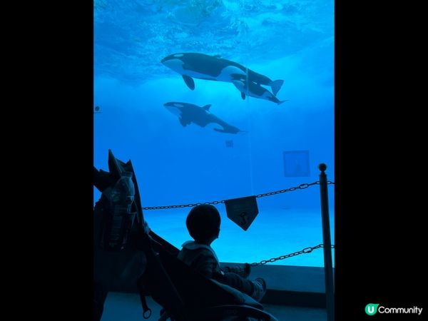 珠海長隆飛船樂園不怕日曬雨淋好去處、港車兩小時直達～兩大兩細...