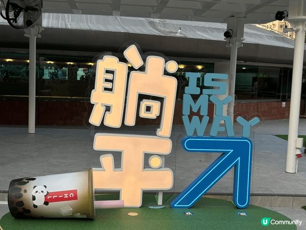 沙田熊貓打卡位多，文字好貼地有趣，附迎有唔同類型嘅花，顏色好...