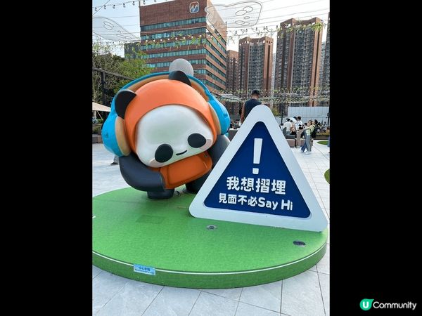 沙田熊貓打卡位多，文字好貼地有趣，附迎有唔同類型嘅花，顏色好...