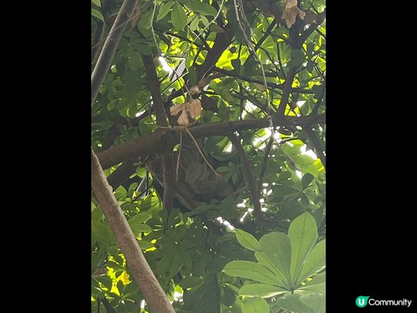 Stanley park, 溫哥華嘅公園好大又舒服