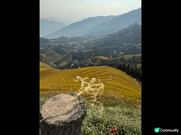 廣西桂林龍脊梯田是中國最著名的梯田之一。每年秋穀收割前是遊覽...