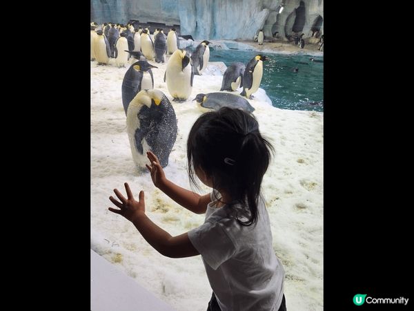 珠海長隆企鵝酒店套票包括飛船樂園及海洋王國入場卷，飛船樂園是...