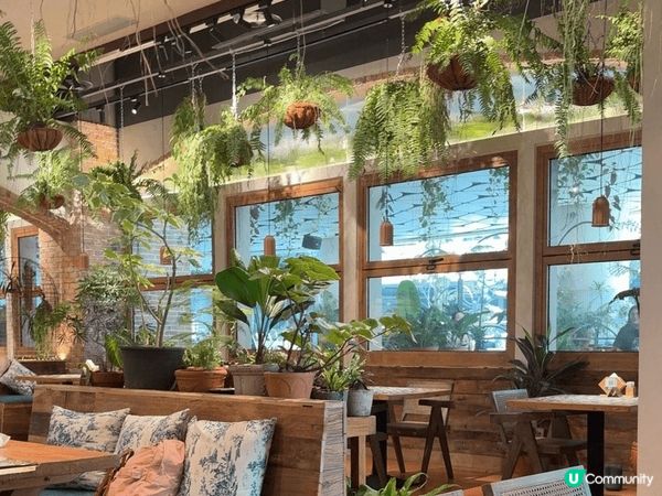 深圳?田萬科廣場新屎坑去?，有間走高級路線的西餐廳"SUPA...