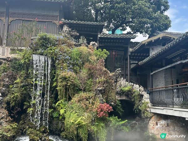 得閒飲茶 - 廣州泮溪酒家