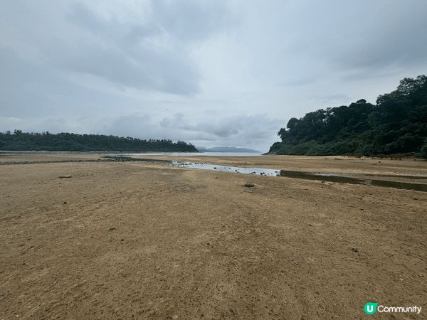 馬鞍山海星灣，紅樹林等生態環境，簡單己去，喜歡大自然朋友不妨...