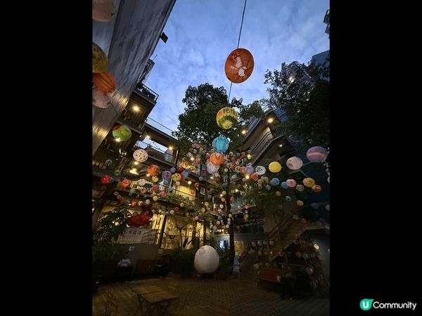 灣仔景星街8號文青地，亦有幾間打卡素食店！慢慢食，身心慢慢享...