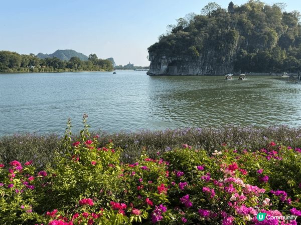 桂林象鼻山是國家AAAAA級景區！象鼻山因酷似一頭大象而得名...