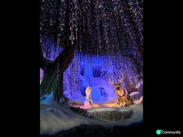 迪士尼的Frozen世界夜晚真的好美。每次去都令人唔捨得離開...