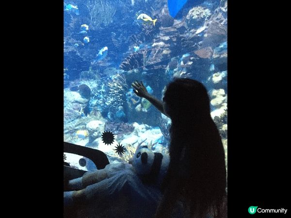 Pic1: 印尼 千廟之都 太佰廟