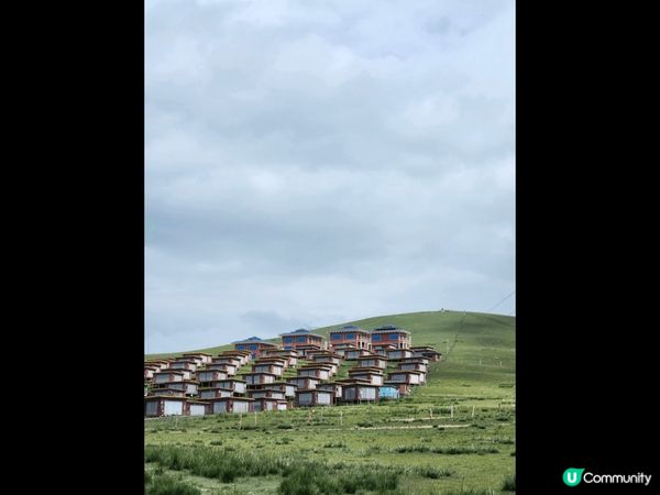西寧青海之旅，感受當地的藏族文化，高海拔的美景，近距離感受黃...