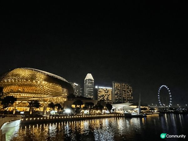 以上照片是新加坡的著名景點，這是魚尾獅公園的夜景。
