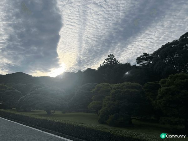 鳥羽水族館不很多有趣可愛的小動物！伊勢的夕陽下份外漂亮