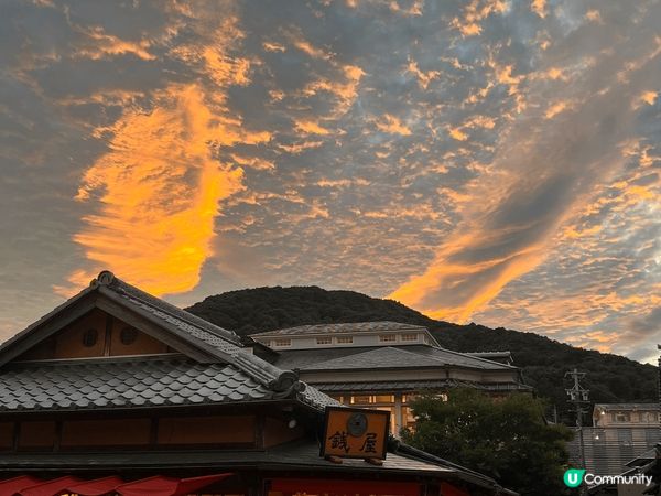 鳥羽水族館不很多有趣可愛的小動物！伊勢的夕陽下份外漂亮
