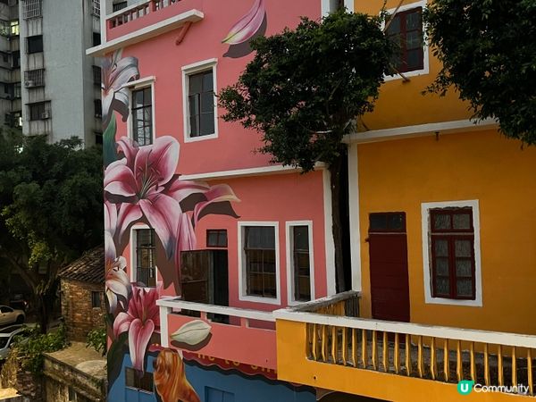 ## 東莞～華景小區打卡位 🌺🎨