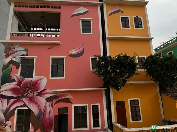 ## 東莞～華景小區打卡位 🌺🎨