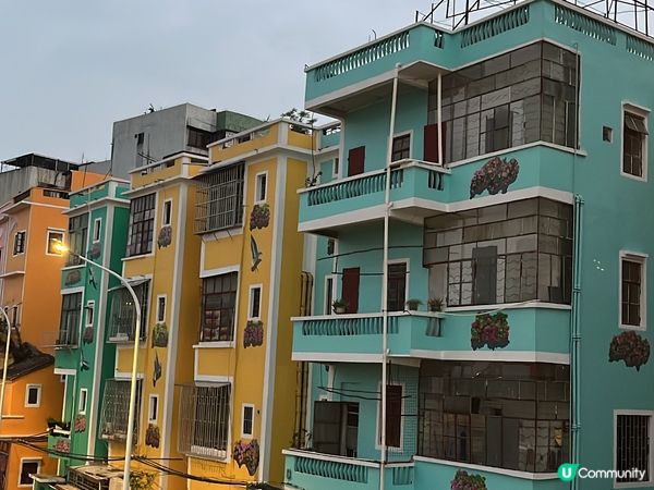 ## 東莞～華景小區打卡位 🌺🎨