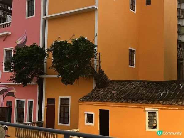 ## 東莞～華景小區打卡位 🌺🎨