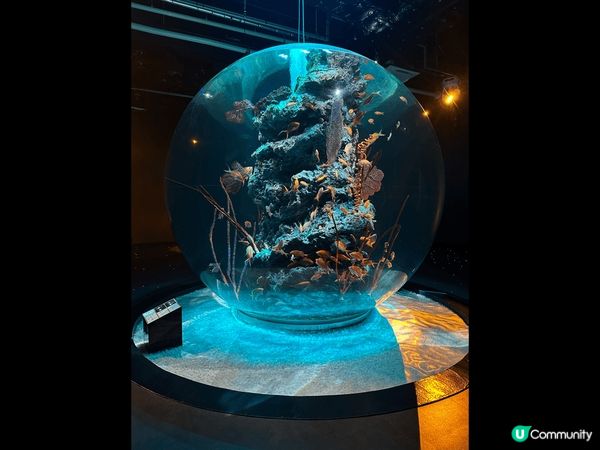 神户AQUARIUM×ART átoa 沉浸式水族館 ！入到...