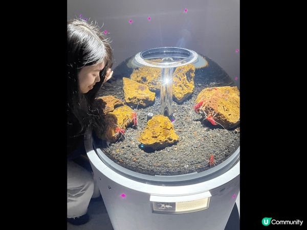 神户AQUARIUM×ART átoa 沉浸式水族館 ！入到...