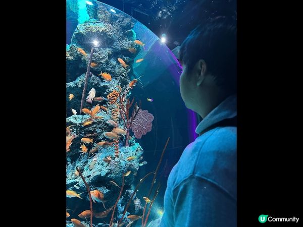 神户AQUARIUM×ART átoa 沉浸式水族館 ！入到...