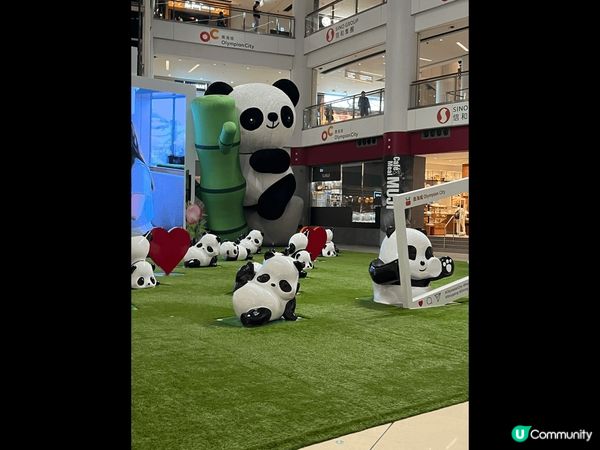 奧海城有個成7.5米高巨型充氣毛毛熊貓，實在太可愛及太吸引了...