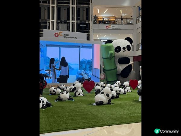 奧海城有個成7.5米高巨型充氣毛毛熊貓，實在太可愛及太吸引了...