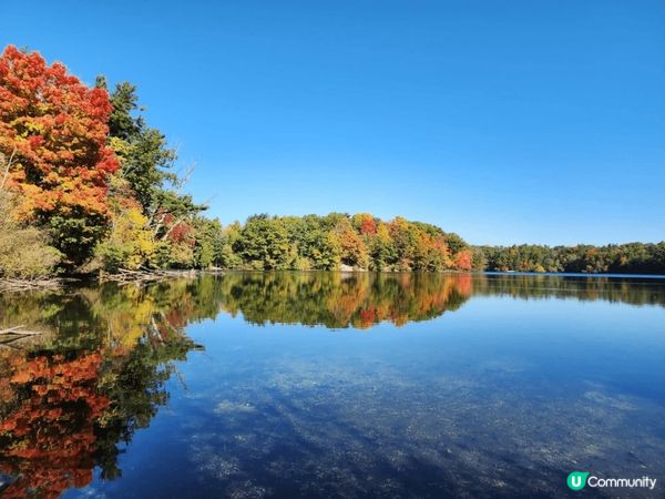 多倫多Bond Lake天色很美，陽光普照，風景如畫，行山打...