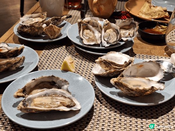 WM酒店-晚餐放題 生蠔任食 甜品高質 一次開心愉快的回憶