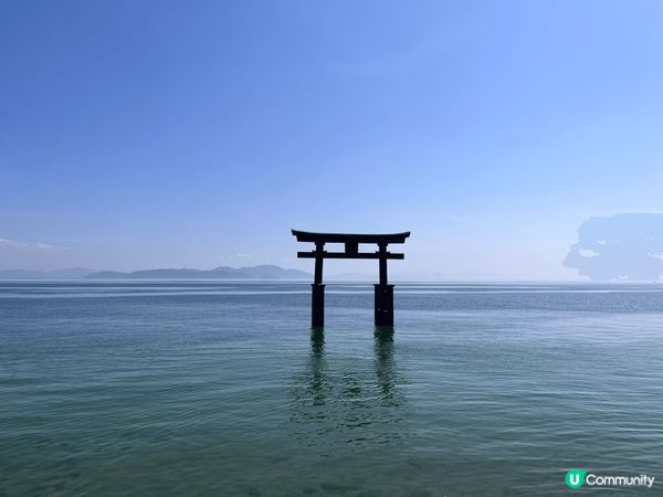 白鬚神社位於滋賀高島市?琵琶湖畔，當中最出名一定係呢個極夢幻...