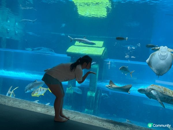 去三亞玩一定會去水上樂園 最著名既亞特蘭蒂斯水世界 同去海洋...