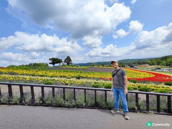 北海道四季彩之丘係一個令人忘記煩憂?世外桃園，五顏六色?花有...