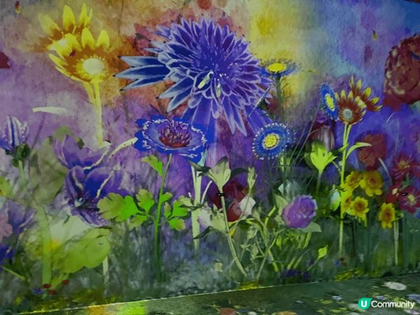 最喜歡光影展，因為有好多好靚?光影效果，前牌由日本引入?花卉...