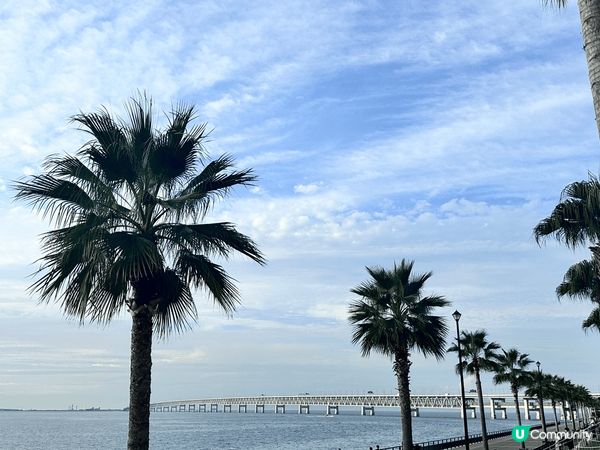 臨空城的日與夜