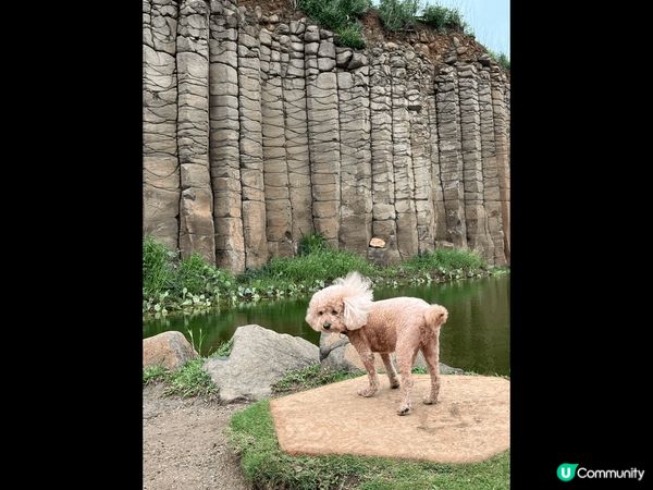 喜歡台灣的美景，每每到訪都倍感熟悉，或許是尋回香港昔日珍貴的...