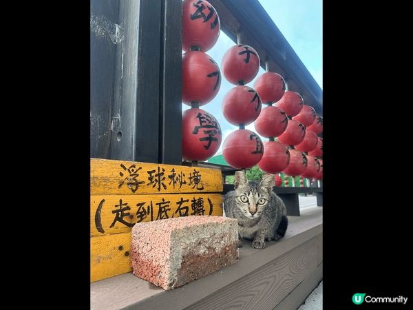 喜歡台灣的美景，每每到訪都倍感熟悉，或許是尋回香港昔日珍貴的...