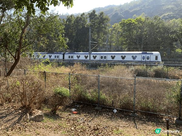 我喜歡迪士尼的原因在於它充滿了童真的想像力和無限的創造力。每...