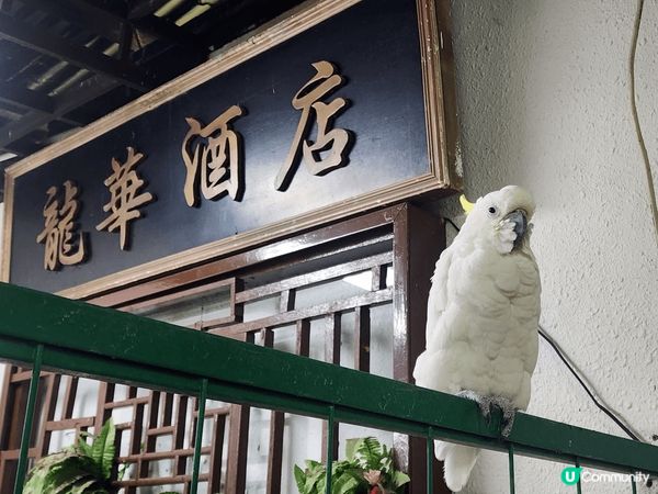 沙田龍華酒店，香港碩果僅存?別墅式中餐廳，見證著香港多次高低...