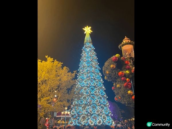 聖誕樹又大又靚，係廣場正中央，出入樂園必經之地，夜晚亮燈後真...