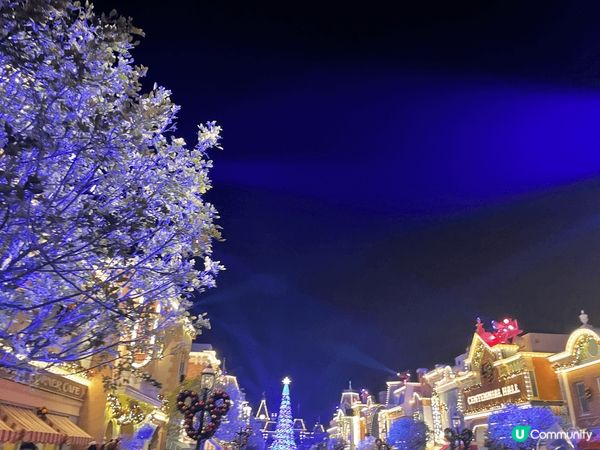 聖誕樹又大又靚，係廣場正中央，出入樂園必經之地，夜晚亮燈後真...