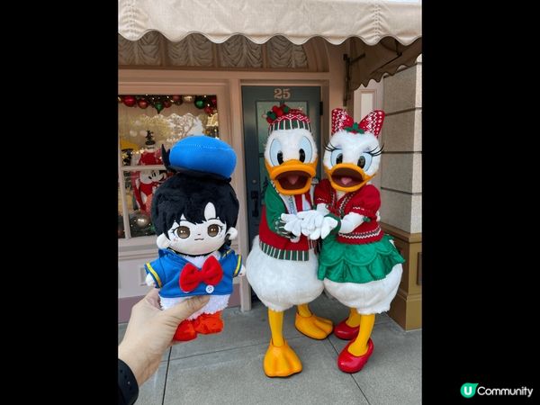 聖誕樹又大又靚，係廣場正中央，出入樂園必經之地，夜晚亮燈後真...