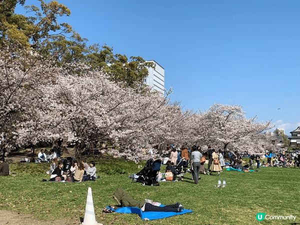 這裡是日本福岡，正值櫻花??季節其實任何一個地方都是打卡位。...