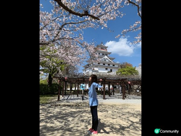 這裡是日本福岡，正值櫻花??季節其實任何一個地方都是打卡位。...