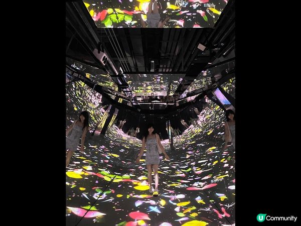 我覺得以花朵作為主題Teamlab很美。在每?個主題，都會有...