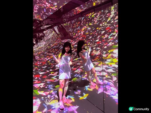 我覺得以花朵作為主題Teamlab很美。在每?個主題，都會有...