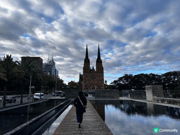 期待已久的澳洲之旅，見到可愛的袋鼠和樹熊，還有宏偉的悉尼歌劇...