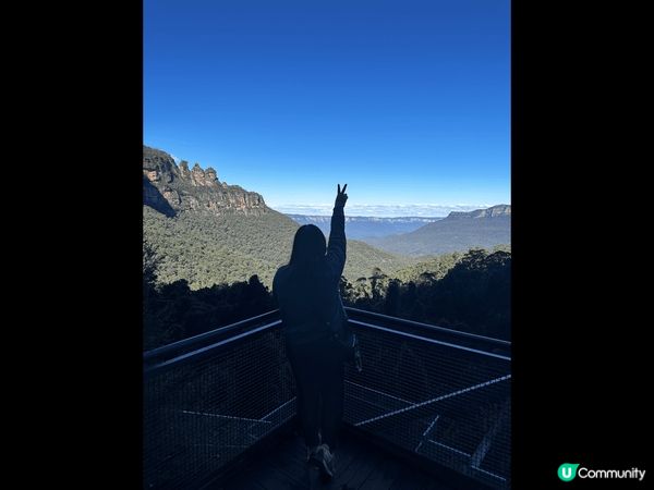 期待已久的澳洲之旅，見到可愛的袋鼠和樹熊，還有宏偉的悉尼歌劇...