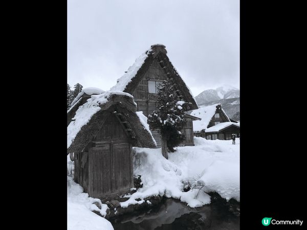 我超愛白川鄉！??那裡的合掌造建築超可愛??，四季風景變化多...