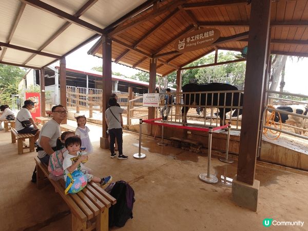 這個台北農場，可以讓遊客近距離親身餵飼不同的草食動物，我覺得...