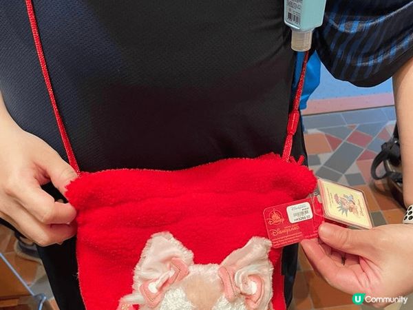 Disneyland 係由小朋友至大朋友都??Special...