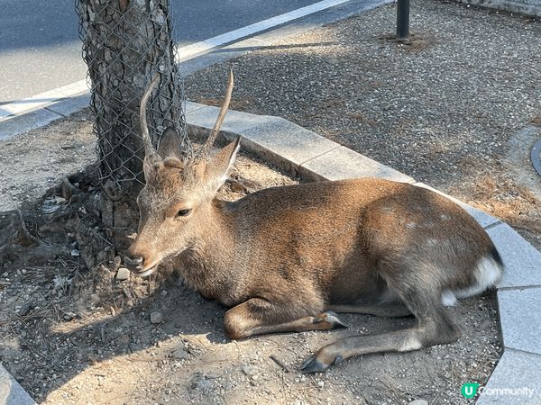 回憶總是美好的，充滿和家人一起的快樂回憶